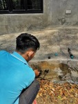 ตรวจหารังปลวก กำจัดถึงรังปลวก - Suphanburi Termite Control Company - HUNS