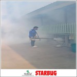 รับฉีดปลวกตายยกรัง - Starbug Pest Control (2018) Co., Ltd.