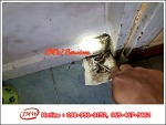 บริการกำจัดปลวกด้วยระบบอัดน้ำยาเข้าท่อ - JMW Services