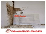 กำจัดปลวกไร้สารเคมี - รับกำจัดปลวกนนทบุรี - JMW เซอร์วิส