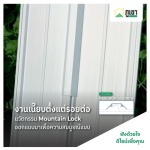 PR-8 หลังคาไวนิล เมาท์เทนล็อกครอบลอน