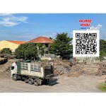 ร้านขายไม้ยูคาลิปตัส - เสาเข็มไม้ยูคา ประเสริฐยูคาเทรด