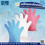 โรงงานถุงมือพลาสติก