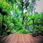 แบบจัดสวนหน้าบ้าน กรุงเทพฯ - บริษัท พนา 1000 เมืองต้นไม้ จำกัด