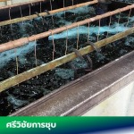 รับสร้างระบบไลน์ชุบ - โรงชุบโลหะ อุปกรณ์ชุบมือสอง - ศรีวิชัยโลหะกิจ