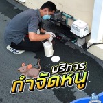 รับกำจัดหนู บางบัวทอง