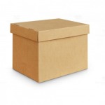 รับผลิตกล่องฝาครอบ - โรงงานกล่องกระดาษลูกฟูก - พรอสเพอร์ แพ็ค