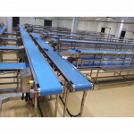 LINE PU BELT (สายพานพียู) - บริษัท แอล เค ฟู้ด เอ็นจิเนียริ่ง จำกัด