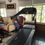 จำหน่ายลู่วิ่งไฟฟ้า Treadmills - รับซ่อมและจำหน่ายเครื่องออกกำลังกาย - โกลด์แมร์