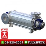 ปั๊ม Boiler Feed - บริษัท ฟลุคส์ ชเป็ค ปั๊ม จำกัด