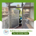 รับติดมุ้งลวดเพ็ทเมช มุ้งกันหมาแมว ราคาถูก - มุ้งลวดราคาถูก ช่างศักดิ์