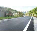 ถนนพลาสติกรีไซเคิล  Recycled Plastic Road