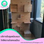 โรงแรมแมวดอนเมือง - โรงแรมแมว มารุโกะ เฮ้าส์