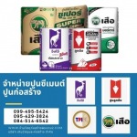 ร้านขายปูนซีเมนต์ ปูนตราเสือ ปูนตราจิงโจ้ ปูนลูกดิ่ง ปูนทีพีไอ พระราม2 พุทธบูชา - ร้านขายวัสดุก่อสร้างพุทธบูชา พระราม2 - เงินวัสดุและก่อสร้าง