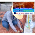 กำจัดปลวก ร้อยเอ็ด - ร้านไทยท็อป เพสท์คอนโทรล เซอร์วิส