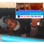 บริษัทกำจัดแมลง อุบลราชธานี - ร้านไทยท็อป เพสท์คอนโทรล เซอร์วิส