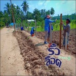 ติดตั้งรั้วตาข่าย - บริษัท บุนย์วานิช อินเตอร์เนชั่นแนล จำกัด