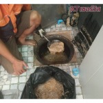 ล้างบ่อดักไขมัน นนทบุรี - รับดูดส้วม แก้ปัญหาท่อตัน นนทบุรี 