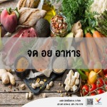 แนะนำ จด อย อาหาร - บริษัท ไฟท์ติ้งฟลาย 2 จำกัด