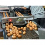 เครื่องคัดไข่ดิจิตอล - บริษัท เลิศพัฒนา แอลพีเอ็น จำกัด