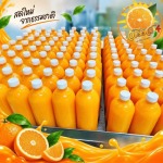 ขายส่งน้ำส้มคั้น รังสิต ปทุมธานี