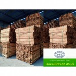 ขายส่งไม้ยางพาราป้อนโรงงานผลิตพาเลท - บริษัท พีแอนด์ทีพาเลท จำกัด