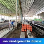 ผู้ผลิตเสาเข็มคอนกรีตอัดแรง  ราคาโรงงาน - บริษัท พรเจริญ เทมเปอร์ เซฟตี้ กลาส จำกัด