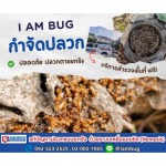 บริษัทฉีดปลวกใกล้ฉัน