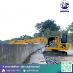 รับตัดต้นไม้พร้อมขนทิ้ง กรุงเทพ