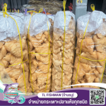 กระเพาะปลาแห้งราคาส่ง - จำหน่ายกระเพาะปลาแห้ง ราคาโรงงาน TL FISH MAW