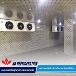 รับซ่อมระบบทำความเย็นห้องเย็น - รับออกแบบติดตั้งและซ่อมห้องเย็นอุตสาหกรรม