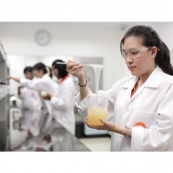 ซิลิค คอร์พ