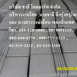 แผ่นพื้นทางเดิน
