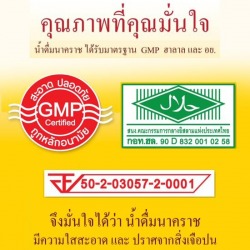 มาตรฐาน GMP ฮาลาล และ อย.