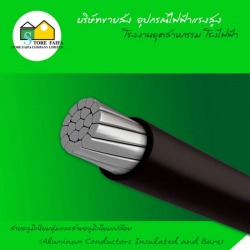 สายอลูมิเนียมหุ้มและสายอลูมิเนียมเปลือย (Aluminum Conductors Insulated and Bare)
