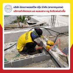 รับเหมาวางท่อกำจัดปลวก กรุงเทพ