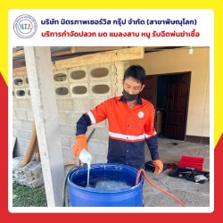 ฉีดปลวกด้วยสารเคมีกำจัดปลวกโปรเซนต้า