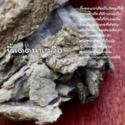 ขายส่งขี้แดดนาเกลือ สำหรับการเกษตร
