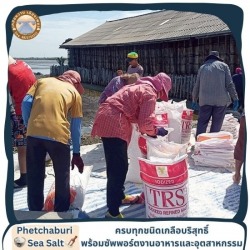 ขายส่งเกลือแท้คุณภาพสูง นาเกลือเพชรบุรี