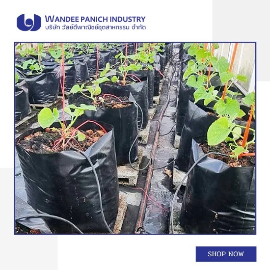 ถุงเพาะชำสีดำคุณภาพพรีเมียม ราคาขายส่ง ถุงเพาะชำสีดำคุณภาพพรีเมียม ราคาขายส่ง 