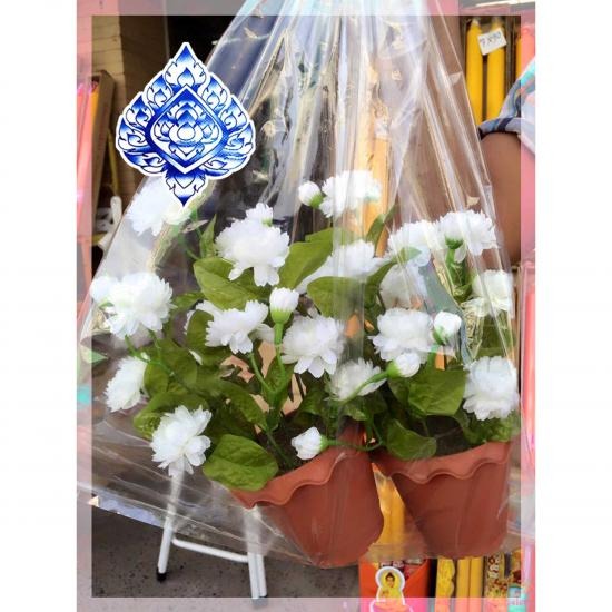 จำหน่ายดอกไม้พลาสติก อุบลราชธานี ดอกไม้พลาสติก อุบลราชธานี 