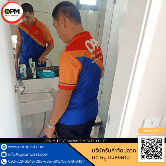 บริการกำจัดปลวกคอนโดกรุงเทพ บริการกำจัดปลวกคอนโดกรุงเทพ  กำจัดปลวกบ้านพักอาศัยราคาถูก  กำจัดปลวกร้านอาหารใกล้ฉัน กทม.  บริการกำจัดปลวกโรงแรมราคาถูก  บริษัทกำจัดปลวกด่วนใกล้ฉัน  บริษัทรับกำจัดปลวกในโรงเรียนราคาถูก  รับกำจัดปลวกด่วนร้านค้าใกล้ฉัน  รับกำจัดปลวกเร่งด่วน กรุงเทพ  หาบริษัทกำจัดปลวกอาคารสำนักงาน กทม.  หาบริษัทรับกำจัดปลวกในโรงงาน 