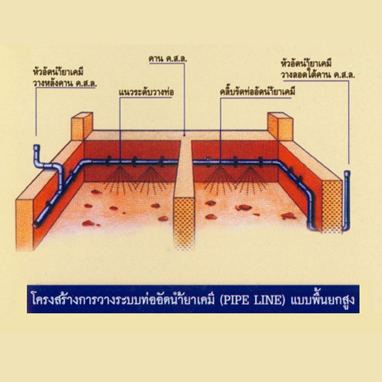 กำจัดปลวก กำจัดปลวก 