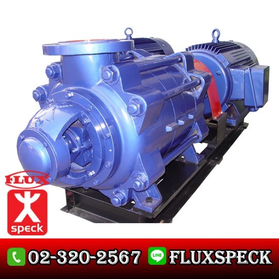 Magnetic Drive Pump ปั๊มมัลติสเตจชนิดปรับแรงดัน 