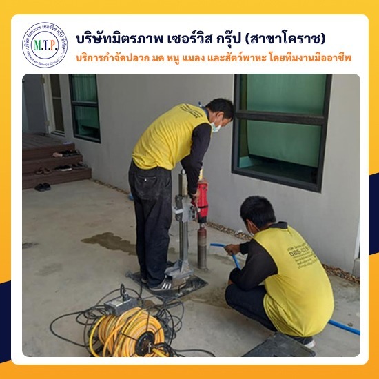กำจัดปลวกตายยกรังโคราช กำจัดปลวกตายยกรังโคราช 