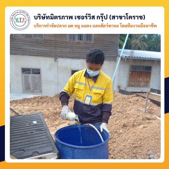 กำจัดปลวกโคราชราคาพิเศษ กำจัดปลวกโคราชราคาพิเศษ 