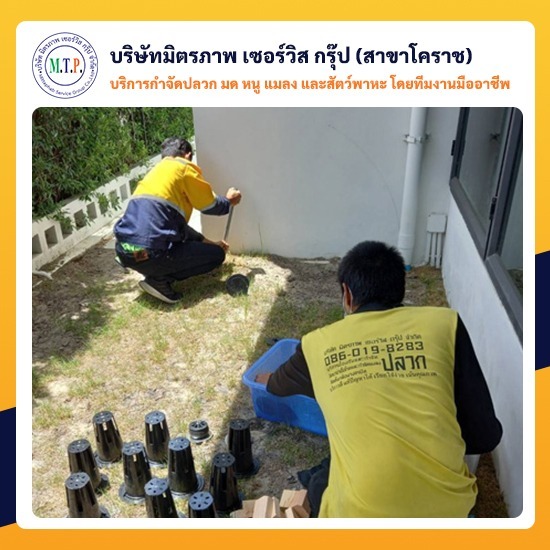 กำจัดปลวกบ้านราคาพิเศษ กำจัดปลวกบ้านราคาพิเศษ 