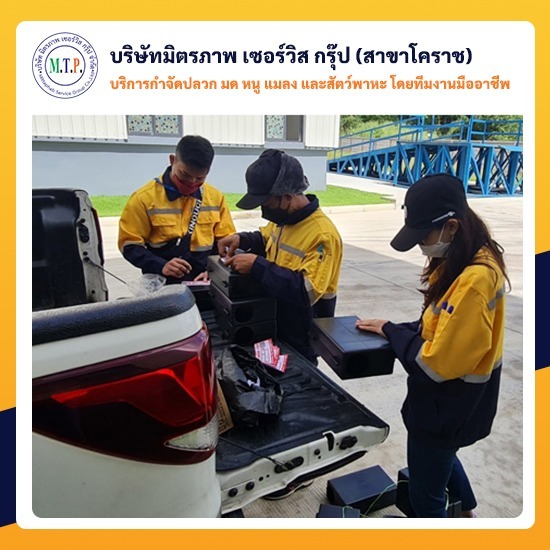 รับกำจัดปลวกในโรงงาน โคราช รับกำจัดปลวกในโรงงาน โคราช 