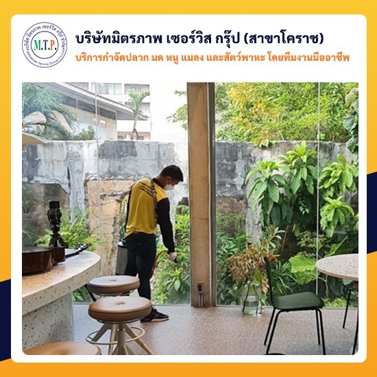 กำจัดแมลงสาบโคราช กำจัดแมลงสาบโคราช 