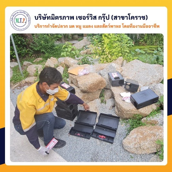 บริการรับกำจัดหนูโคราช บริการรับกำจัดหนูโคราช 